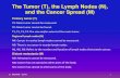 The Tumor (T), the Lymph Nodes (N), and the …...Regional lymph nodes (N) NX: Cancer in nearby lymph nodes cannot be measured. N0: There is no cancer in nearby lymph nodes. N1, N2,