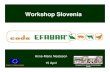 EFFAB Code workshopSlovenia [Compatibiliteitsmodus] · Sustainability in farm animal breeding and reproduction “The extent to which animal breeding and reproduction, as managed