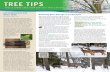 Bartlett Tree Tips - Winter 2016...bare is a good time to prune trees. Any structural problems can be identified and addressed. Give your Bartlett Arborist Representative a call, he/she