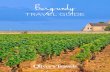 TRAVEL GUIDE - Oliver's Travels€¦ · found this travel guide useful, (we hope you did!), you can find a whole host more on the blog, too! At Oliver's Travels we don't do ordinary.