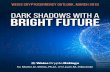 Dark Shadows with a Bright Future · 2019-03-21 · 3 Weiss Cryptocurrency Outlook, March 2019 Dark Shadows with a Bright Future Ethereum is the most widely used smart-contract platform,