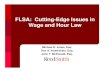FLSA: Cutting-Edge Issues in Wage and Hour Law · 1,800 FLSA suits in 2000 4,000 FLSA suits in 2003 6,000 FLSA suits in 2007 More than 7,000 FLSA suits in 2011 DOL claims only 30