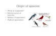 Origin of speciesguralnl/Origin of species.pdf · 2004-08-24 · Origin of species • What is a species? • Maintenance of species. • Modes of speciation. • Rate of speciation.