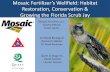 Mosaic Fertilizer’s Wellfield: Habitat Restoration ... · Mosaic Fertilizer’s Wellfield: Habitat Restoration, Conservation & Growing the Florida Scrub Jay Mosaic Fertilizer, LLC.