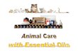 Animal Care with Essential Oils Page: 2 care blank.pdf · Animal Care with Essential Oils Page: 5 Some essential oils can interact with pharmaceuticals, can thin blood eg; wintergreen