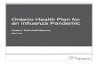 Ontario Health Plan for an Influenza Pandemic | Chapter 4 ... · Ontario Health Plan for an Influenza Pandemic Chapter 4: Public Health Measures Audience individuals responsible for