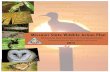 Missouri State Wildlife Action PlanMissouri State Wildlife Action Plan 2015 Page i FOREWORD M issouri supports an abundant natural heri-tage, ranking 21 st in the nation in terms of