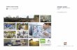 DESIGN GUIDE DORSET INNOVATION PARK DECEMBER 2018 - … Zone/1. 151671_Des… · interior design bim and digital design: sustainability design masterplanning and urban design: landscape