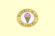 DISCLAIMER - Marble Slab Creamery Franchise...DISCLAIMER This information is not intended as an offer to sell, or the solicitation of an offer to buy, a franchise. It is for information