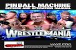 WWE Pro Operation and Parts Manual - Stern Pinball · 2018-11-28 · wwe pro wwe pro #500-55g1-00 manual #780-50g1-00 pinball machine service and operation manual.htlz jvuÄn\ylk