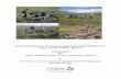 Final Report For Upper Gunnison River Water Conservancy District · 2014-03-04 · Upper Gunnison River Water Conservancy District By The Nature Conservancy and the ... grouse (Centrocercus