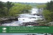 TREES AND FORESTS: AMERICA’S CRITICAL GREEN ......Trees and forests are a critical part of America’s infrastructure, and conserving working forests for future generations is a