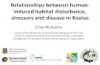 Relationships between human- induced habitat disturbance ... Disease Workshop.pdf · DERM Koala Disease Project Objectives: 1. Develop a conceptual model of potential causal relationships