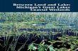 Between Land and Lake: Michigan’s Great Lakes …Between Land and Lake: Michigan’s Great Lakes Coastal Wetlands. Michigan Natural Features Inventory, Michigan State University
