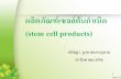 ผลิตภัณฑ์เซลล์ต้นก าเนิดdmsc2.dmsc.moph.go.th/webroot/Biology/biop/2556 Stem cell.pdf · ประชุมเชิงปฏิบัติการ