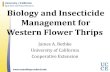 Biology and Insecticide Management for Western Flower Thrips · 2014-01-23 · Western Flower Thrips • Probably the most serious pest of ornamentals in greenhouses - Parrella 1995