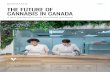 THE FUTURE OF CANNABIS IN CANADA - Resonance Consultancymedia.resonanceco.com/...2019-The-Future-of-Cannabis-in-Canada-R… · cannabis company focused on cannabinoid cultivation,