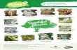 Ready to get detecting? Spot frothy blossom and furry catkins · Title: Blossom and catkin identification for kids – Nature Detectives Author: Nature Detectives Woodland Trust Created