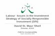 Labour Issues in the Investment Strategy of Socially ... Sheil, la… · Labour Issues in the Investment Strategy of Socially Responsible Investment (SRI) David St. Maur Sheil Director,