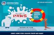PRIMARY WELCOME TO PAWS WATER SAFETY · 2019-10-25 · safety signs tell you how to keep safe. here’s what they mean: diamond yellow signs warn you of dangers. for example, this