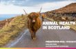ANIMAL HEALTH IN SCOTLAND - RFSA€¦ · ANIMAL HEALTH IN SCOTLAND ... • Scotland has the largest cluster of animal bioscience/aquaculture researchers in Europe, with over 1,000