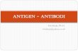 Antigen - Antibodi · Mixed Lymphocyte Reaction (MLR) ... ANTIBODY T-CELL FUNCTIONS ANTIGEN Ag/Ab complexes Inactivation of viruses Allergy Complement AUTOIMMUNITY THREE "LIMBS" OF