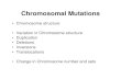 Chromosomal Mutations - Western Oregon Universityguralnl/311Chromosomal Mutations.pdf · 2006-11-14 · Chromosomal Mutations • Chromosome structure • Variation in Chromosome