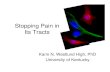 Stopping Pain in Its Tracts - Amazon Web Services · Descending Westlund and Coulter, Br Res Rev 2:235, 1980 Westlund et al., Prog Br Res 57:239, 1982 Westlund et al., Frontiers Clin