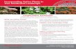 Incorporating Native Plants in Your Residential Landscapemusedesign.net/pdfs/NJ_Rain_Garden_ManualRutgers.pdf · assess conditions in your landscape to guide your selection of the