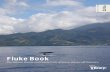 Fluke Book - Dalhousie Universitywhitelab.biology.dal.ca/sge/Flukebook2016.pdfFluke Book The Natural History and Family Units of Sperm Whales off Dominica The Dominica Sperm Whale