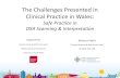 The Challenges Presented in Clinical Practice in Wales...RPS Training Derby:\爀䴀攀渀琀漀爀†ጀ 䴀匀屲Written assignments\爀嘀攀爀戀愀氀 愀猀猀攀猀猀洀攀渀琀屲Portfolio