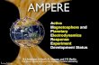 Active Magnetosphere and Planetary Electrodynamics ...€¦ · Active Magnetosphere and Planetary Electrodynamics Response Experiment Development Status B J Anderson, H Korth, ...