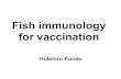 Fish immunology for vaccination - WIDE Project · 2012-12-05 · Problems in fish vaccine • Some vaccines are not highly effective. • Some vaccines are only effective for a short