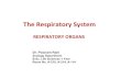 The Respiratory System · Accessory Air-breathing Organs Breathing and Embryos. GILLS Gills are the aquatic respiratory organs of fishes and amphibians. In addition to gaseous exchange,
