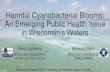 Harmful Cyanobacterial Blooms: An Emerging Public Health ... · harmful blooms? •Excess nutrients (P & N) fertilize bloom growth. •Warm water and calm weather promote scums. •Shallow