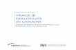 TRACK III DIALOGUES IN UKRAINE - Center for Peace Mediation · 2020-01-23 · 3 1. About the Research Project "Track III Dialogues in Ukraine – Major Trends and hallenges” (2016-2017)