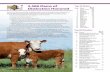 2,586 Dams of Top 20 States Distinction Honored€¦ · Williams Hilltop Farms, Rushford Y4 Ranch, Staples Mississippi McGuffee Polled Herefords, Mendenhall Walker McGuffee, Mendenhall