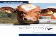 2015 Cattle Guide - Homesteadrossskb.homestead.com/Animal-Health-International-Cattle-Guide.pdf · From the time of birth until weaning, dairy calves are faced with many disease challenges