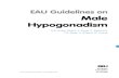 EAU Guidelines on Male Hypogonadism - Uroweb · 2016-03-08 · The present Male Hypogonadism Guidelines are a revision of the first edition of the EAU Guidelines on Male Hypogonadism