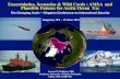 Uncertainties, Scenarios & Wild Cards : AMSA and Plausible ... · Uncertainties, Scenarios & Wild Cards : AMSA and Plausible Futures for Arctic Ocean Use Kingston, ON ~ 15 June 2011