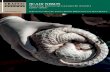 TRAFFIC SCALY NEXUS · 2018-06-29 · TRAFFIC Report: Scaly Nexus: Mapping Indonesian pangolin seizures (2010–2015) v ACKNOWLEDGEMENTS We owe thanks to Chris R. Shepherd and Debbie