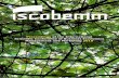 Proceedings of the International Scientific Conference of ... · International Scientific Conference of Business Economics, Management and Marketing, best known as ISCOBEMM. The fourth