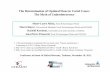 The Determination of Optimal Fines in Cartel Cases: The ...idei.fr/.../2011/conference_moreaux/presentations/presentation_boye… · The Determination of Optimal Fines in Cartel Cases:
