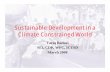 Sustainable Development in a Climate Constrained World · Sustainable Development in a Climate Constrained World Tariq Banuri SEI, CDP, WFC, ICTSD ... • WB (2006) additional costs