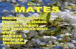 Časopis MATES, čís o 5, roční 2012/13€¦ · Rychlý gepard, Tančící kobra…atd. a na svá jména některé děti nechtěly slyšet. ... (Martina Klvačová a Marie Venclová)