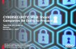 CYBERSECURITY: What Should Companies Be Doing to Preparehypercache.h5i.s3.amazonaws.com/clients/1149/filemanager/... · 2017-06-09 · regulatory (e.g., HIPAA, HITECH, PCI, etc.)
