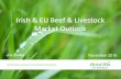 Irish & EU Beef & Livestock Market Outlook...November 2016 Irish & EU Beef & Livestock Market Outlook Joe Burke . Growing the success of Irish food & horticulture 0 5,000 10,000 15,000