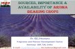 Sources, Importance & Availability of Aroma Bearing Crops · Sources, Importance & Availability of Aroma Bearing Crops . Dr. RK Srivastava . Fragrance and Flavour Development Centre