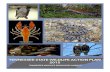 STATE WILDLIFE PLAN 2015 - tnswap.com › pdf › 2015Acknowledgements.pdf · Tennessee State Wildlife Action Plan 2015 iii Scientiﬁc and Species Review Experts ... John Mayer Jim