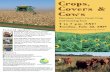 Crops, - Menoken › wp-content › uploads › 2019 › 05 › 2019... · 2019-05-31 · Menoken Farm Cover Crop and Grazing Tour Registration: To ensure dinner, RSVP by Wednesday,
